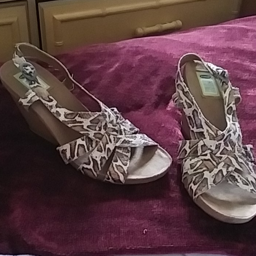 Shoes - Picture 4 of 4